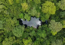 26 Pantai di Berau Masih Ideal untuk Penyu Bertelur