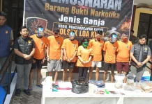Polsek Loa Kulu Bongkar Jaringan Peredaran Ganja 3,3 Kilogram