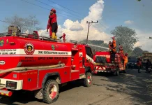Karhutla di Teluk Bayur Berau Hanguskan Empat Hektare Lahan dan Tiga Rumah