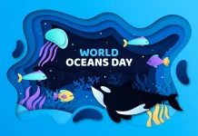 PBB Ungkap Polusi Plastik dan Krisis Ikan Ancam Laut Dunia