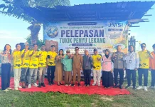 Wali Kota Balikpapan Tolak Reklamasi Demi Lindungi Habitat Penyu