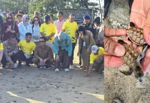 DKP3 Balikpapan Ungkap Pentingnya Pantai Alami bagi Kelangsungan Penyu