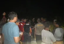 Petani Lansia Dilaporkan Hilang di Persawahan Paser