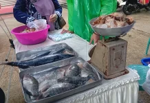 Dinas Kelautan dan Perikanan Kaltim Ajak Masyarakat Gemar Konsumsi Ikan
