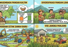 Dinas Pangan Kaltim Dorong Diversifikasi Pangan dan Pengembangan Sawah Baru