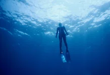 Menepis Ketakutan Pemula di Dunia Freediving
