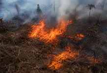 Wabup Berau Imbau Warga Hindari Bakar Lahan