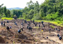 OIKN Percepat Pemulihan Hutan Bekas Tambang Ilegal di Tahura Bukit Soeharto