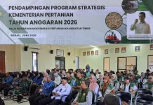 Kaltim Perkuat Pendampingan Penyuluh Dukung Swasembada Pangan Berkelanjutan