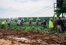 Dosen Unmul Ajak Petani Manfaatkan Teknologi Pantau Cuaca