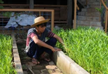 Ananda Nuryadi Ajak Anak Muda Lihat Pertanian Lebih Keren