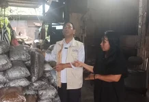 Usaha Cocopeat Samarinda Raup Pasar Luas hingga Proyek IKN