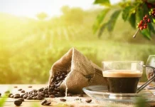 Tetap Bisa Ngopi, Ini Rahasia Mencegah Asam Lambung Naik