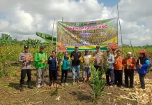 Dukung Swasembada Pangan, Polisi Kawal Panen Jagung Hibrida di Muara Bengkal