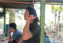 Konflik Orangutan di Kutim Kian Meresahkan, Warga Minta BKSDA Kaltim Translokasi