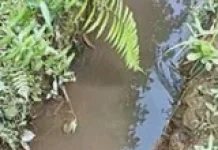 TWAP Samarinda Respons Cepat Keluhan Infrastruktur Warga
