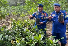 Kisah Inspiratif: Aipda Taufik, Sang Bhayangkara Penjaga Bumi dari Balikpapan