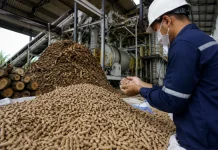 Biomassa Dinilai Jadi Peluang Besar Transisi Energi di Kalimantan Timur