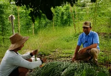 Petani Milenial Dorong Kemandirian Pangan Kalimantan Timur