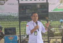 Gerakan Tanam Serentak Perkuat Ketahanan Nasional Lewat Sektor Pangan