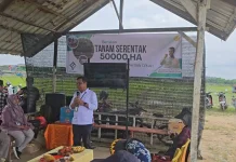 Pertanian Kalimantan Timur Tinggalkan Cara Lama, Teknologi Jadi Penentu Produksi