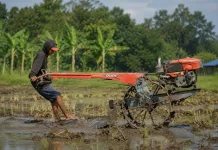 Brigade Pangan Jadi Wajah Baru Regenerasi Petani di Kaltim