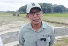 Kaltim Masih Defisit Beras, Produksi Lokal Dikejar di Tengah Pertumbuhan IKN
