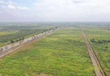 Kaltim Siapkan 13 Ribu Hektare Sawah Baru untuk Perkuat Swasembada Pangan