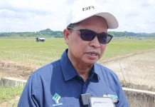 Produktivitas Padi Kaltim Ditargetkan Naik Dua Kali Lipat lewat PMAAS