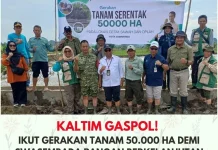 Gerakan Tanam Nasional 50.000 Hektare, Kaltim Perkuat Ketahanan Pangan