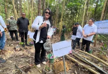Wujud Nyata City Forest, Rombongan HDN 2026 Tanam Pohon Endemik IKN