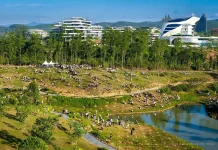 1.200 Pohon Ditanam oleh 1.000 Peserta di Ibu Kota Nusantara Memperingati Hari Konse