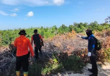 BPBD PPU Verifikasi Hotspot, Pembukaan Lahan Diduga Jadi Penyebab