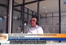 M4CR Bangun Ketahanan Pesisir lewat Rehabilitasi Mangrove