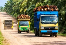 Bupati PPU Soroti Kontribusi Industri Sawit yang Dinilai Belum Seimbang