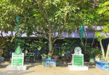 Tak Hanya Siswa, SDN 012 Samarinda Ulu Ajak Orang Tua dan Warga Hijaukan Lingkungan
