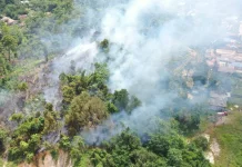 Cuaca Panas Picu Kebakaran Lahan Tiga Hektare di Kukar