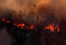 BPBD Samarinda Tingkatkan Kesiapsiagaan Hadapi Risiko Kebakaran Lahan