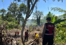 Call Center 110 Percepat Penanganan Kebakaran Lahan di Penajam