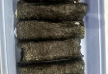 Ide Bekal Sekolah Praktis: Nasi Telur Gulung Nori, Menu Sehat dan Bergizi untuk Anak