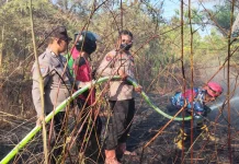 Kebakaran Lahan Dua Hektare di Girimukti Berhasil Dipadamkan Tim Gabungan