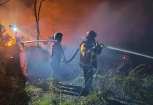 Karhutla Gunung Seteleng Berhasil Dipadamkan, Lahan 0,19 Hektare Terbakar