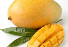 Manfaat Buah Mangga, Kaya Nutrisi Penunjang Kesehatan Tubuh
