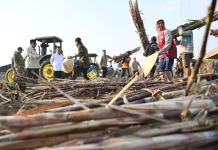 Petani Rasakan Dampak Positif Program Ketahanan Pangan Pemerintah Nasional