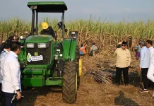 Prabowo Tegaskan Percepatan Program Strategis untuk Wujudkan Indonesia Mandiri