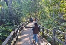 Miliki Wisata Unggulan, Kecamatan Kuaro Siap Sambut Suksesi Porprov Kaltim VIII