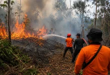 Halo RRI: Masyarakat Kutai Barat Soroti Mitigasi Musim Kemarau di Kaltim