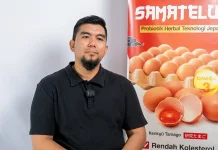 PT Ekosistem Ternak Borneo Pasarkan Telur Omega Segar Mulai Rp65 Ribu