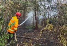 Karhutla Dekati Permukiman, Satu Hektare Lahan Terbakar di Paser