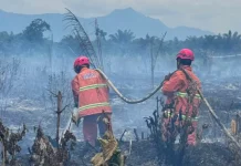 Karhutla di Teluk Bayur Berau Hanguskan Kebun Milik Warga